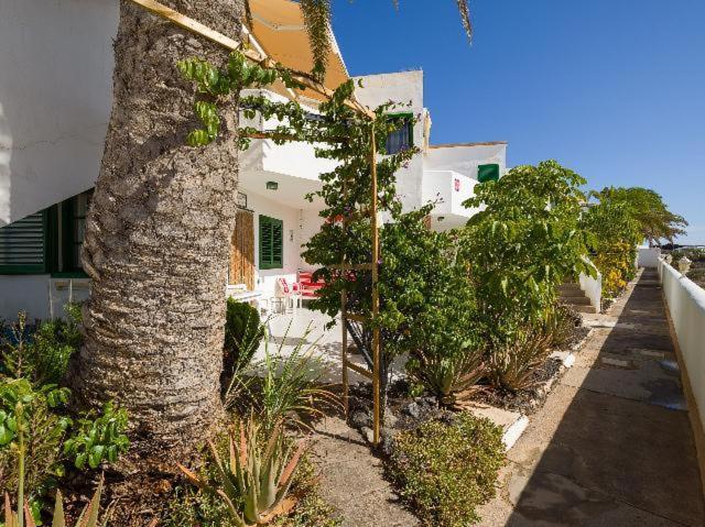Apartamento Nire Lula en la misma playa Cotillo Exterior foto